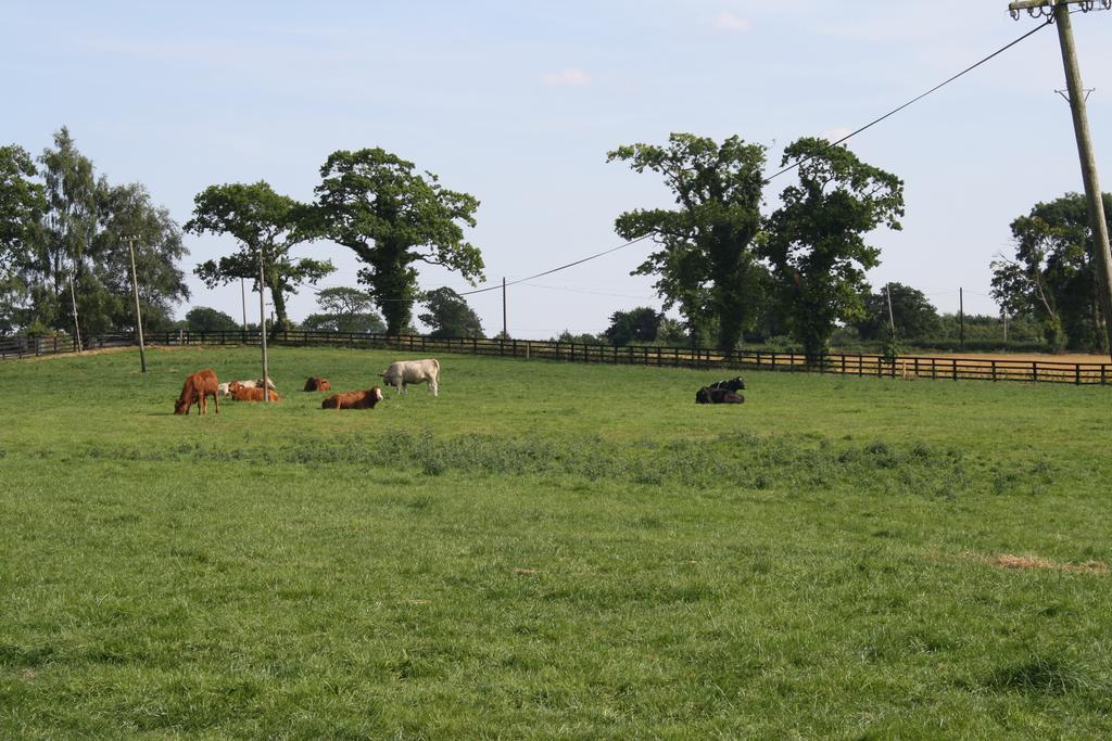 Moate Lodge Athy Luaran gambar