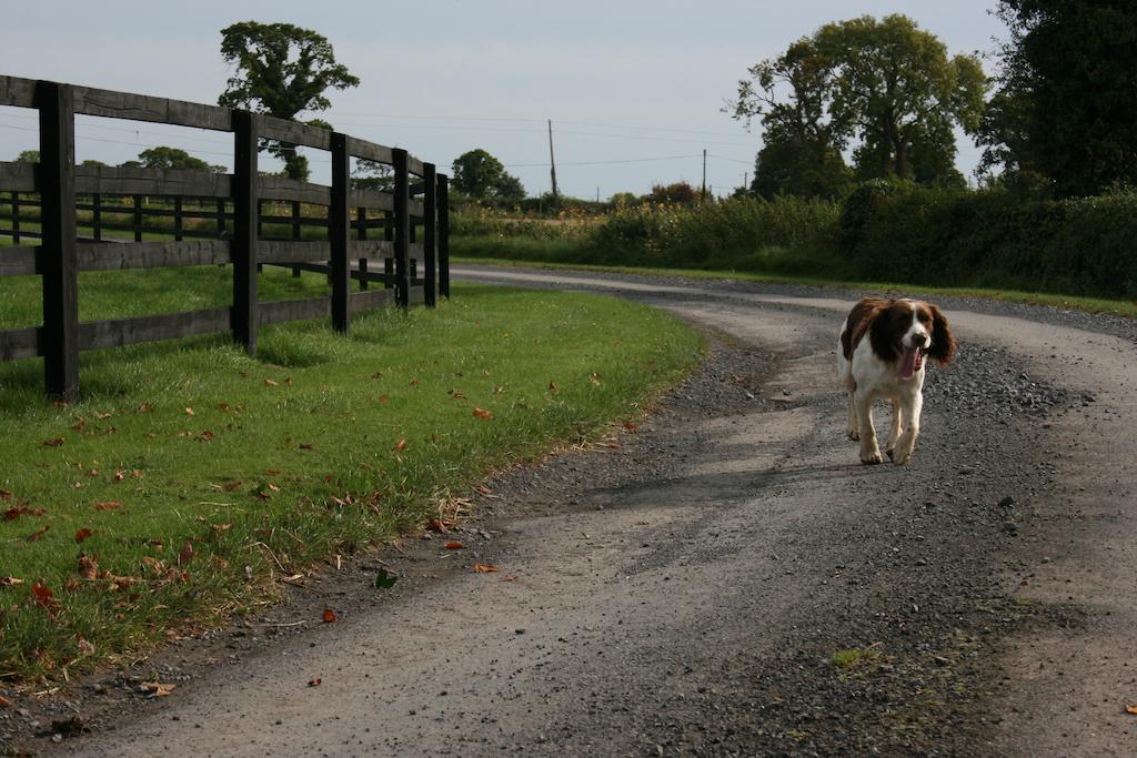 Moate Lodge Athy Luaran gambar